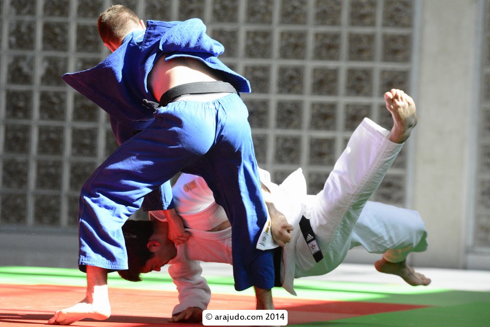 Fase Sector Norte Cpto. Espa&ntilde;a Absoluto